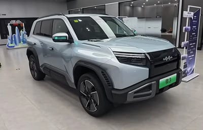 BYD Leopard 3 Fangchengbao Tai 3 - zdjęcie 3